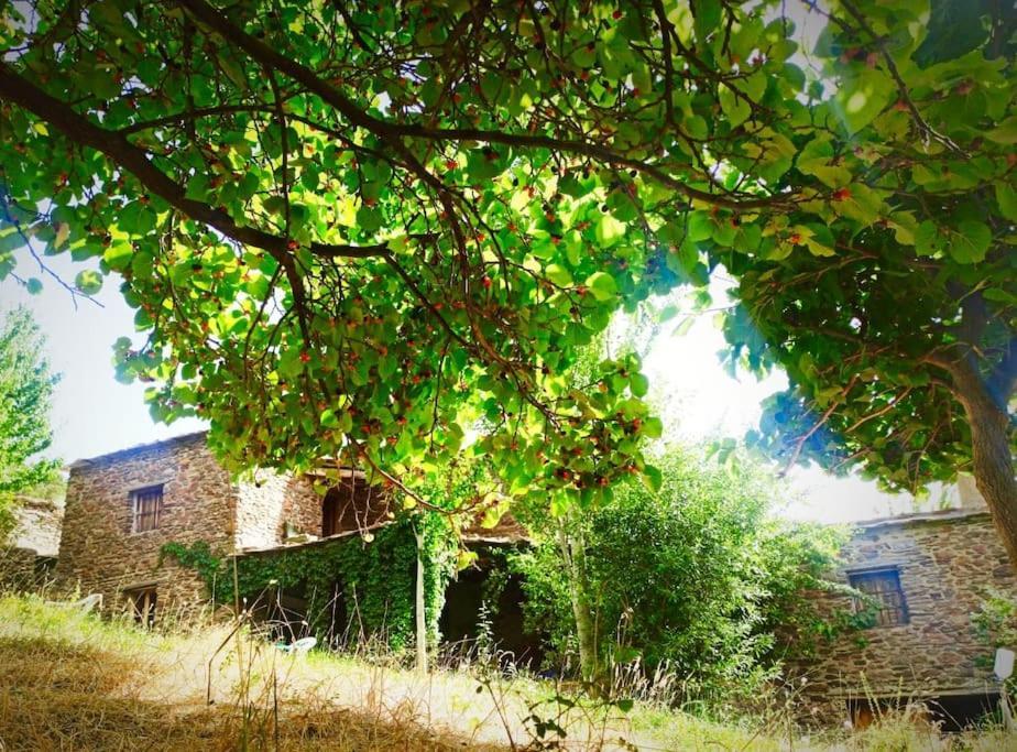 Cortijo Rural El Albercon - Capileira - Alpujarra Rural Villa Dış mekan fotoğraf