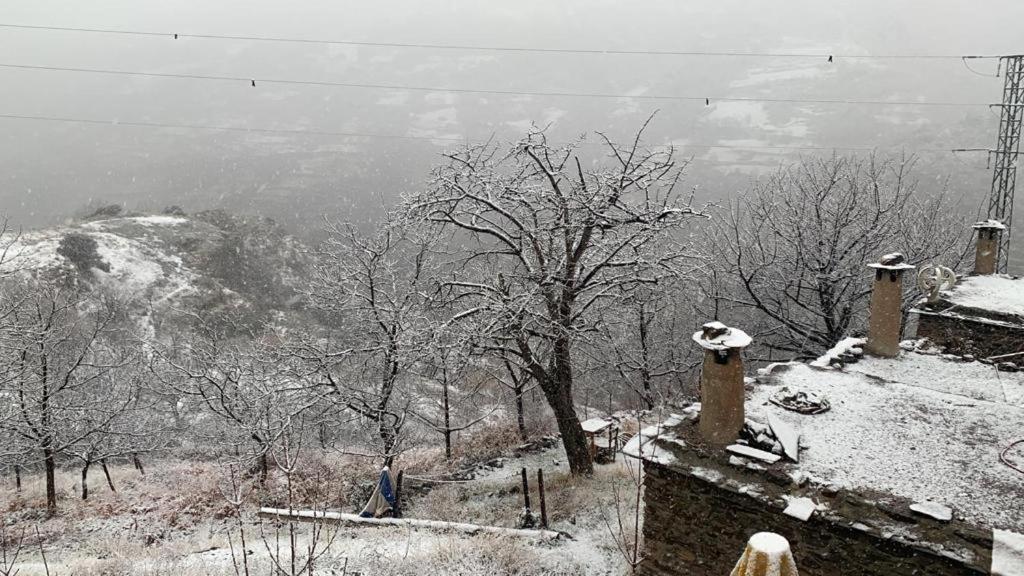 Cortijo Rural El Albercon - Capileira - Alpujarra Rural Villa Dış mekan fotoğraf