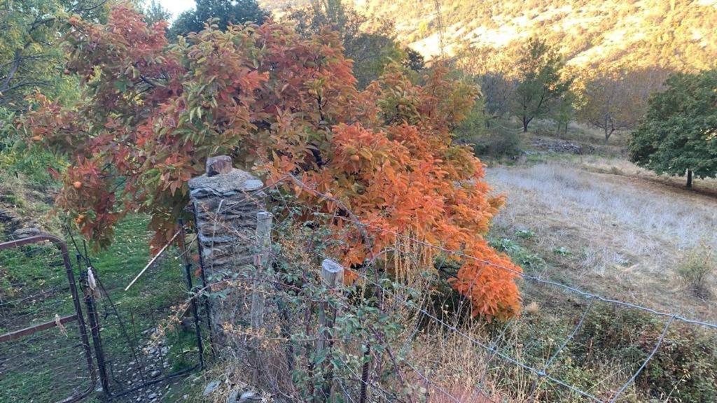 Cortijo Rural El Albercon - Capileira - Alpujarra Rural Villa Dış mekan fotoğraf